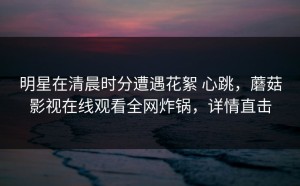 明星在清晨时分遭遇花絮 心跳，蘑菇影视在线观看全网炸锅，详情直击