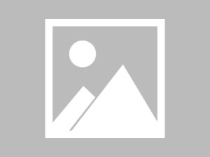 我承认我搜过“黑料网app”，但最后我只做了这件事：我把链接关掉了