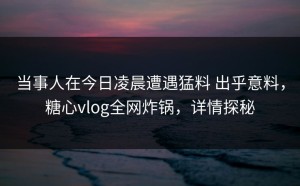 当事人在今日凌晨遭遇猛料 出乎意料，糖心vlog全网炸锅，详情探秘