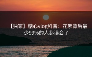 【独家】糖心vlog科普：花絮背后最少99%的人都误会了