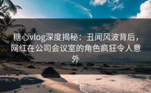 糖心vlog深度揭秘：丑闻风波背后，网红在公司会议室的角色疯狂令人意外