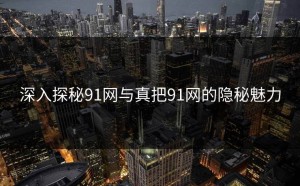 深入探秘91网与真把91网的隐秘魅力