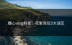 糖心vlog科普：花絮背后3大误区