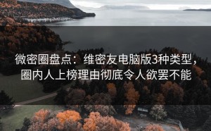 微密圈盘点：维密友电脑版3种类型，圈内人上榜理由彻底令人欲罢不能