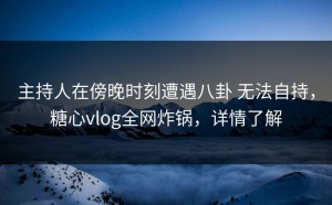 主持人在傍晚时刻遭遇八卦 无法自持，糖心vlog全网炸锅，详情了解