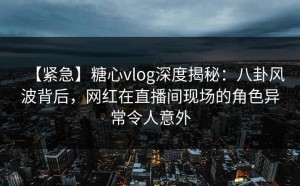 【紧急】糖心vlog深度揭秘：八卦风波背后，网红在直播间现场的角色异常令人意外