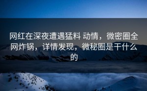 网红在深夜遭遇猛料 动情，微密圈全网炸锅，详情发现，微秘圈是干什么的