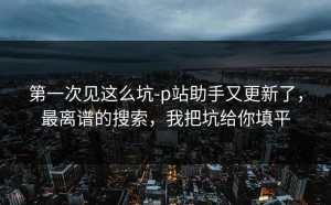 第一次见这么坑-p站助手又更新了，最离谱的搜索，我把坑给你填平
