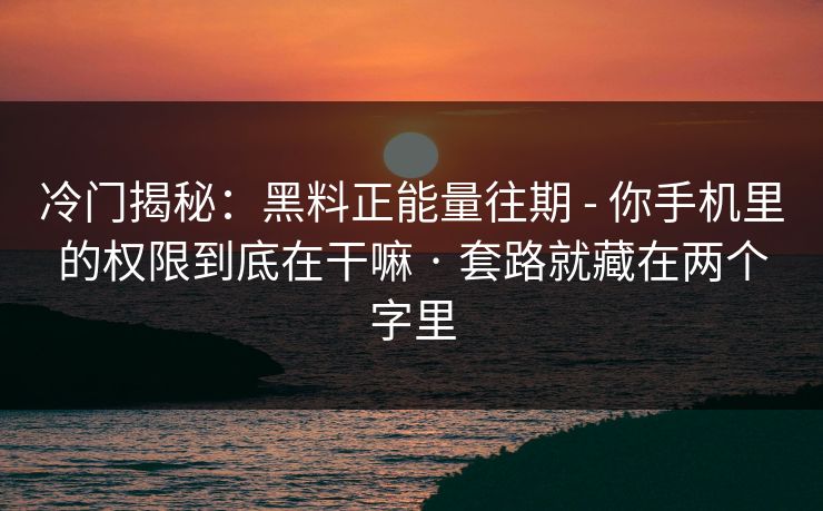 冷门揭秘：黑料正能量往期 - 你手机里的权限到底在干嘛 · 套路就藏在两个字里